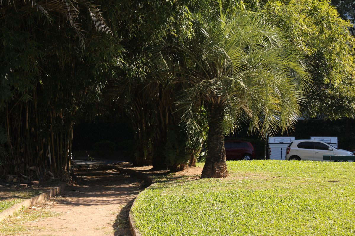 Praça André Forster Bairro Petrópolis Porto Alegre 2